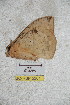  ( - BC-RBP 5201)  @12 [ ] Copyright (2011) Ron Brechlin Research Collection of Ron Brechlin