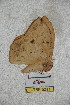  ( - BC-RBP 5211)  @12 [ ] Copyright (2011) Ron Brechlin Research Collection of Ron Brechlin