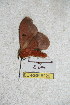  ( - BC-RBP 5220)  @12 [ ] Copyright (2011) Ron Brechlin Research Collection of Ron Brechlin