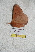  ( - BC-RBP 5226)  @12 [ ] Copyright (2011) Ron Brechlin Research Collection of Ron Brechlin