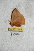  ( - BC-RBP 5249)  @12 [ ] Copyright (2011) Ron Brechlin Research Collection of Ron Brechlin