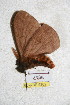  ( - BC-RBP 5262)  @13 [ ] Copyright (2011) Ron Brechlin Research Collection of Ron Brechlin