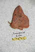  ( - BC-RBP 5270)  @12 [ ] Copyright (2011) Ron Brechlin Research Collection of Ron Brechlin