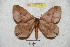  ( - BC-RBP 5336)  @13 [ ] Copyright (2010) Ron Brechlin Research Collection of Ron Brechlin