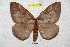  ( - BC-RBP 5343)  @14 [ ] Copyright (2010) Ron Brechlin Research Collection of Ron Brechlin