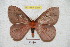  ( - BC-RBP 5356)  @13 [ ] Copyright (2010) Ron Brechlin Research Collection of Ron Brechlin