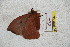  ( - BC-RBP 5442)  @12 [ ] Copyright (2010) Ron Brechlin Research Collection of Ron Brechlin