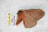  ( - BC-RBP 5724)  @12 [ ] Copyright (2010) Ron Brechlin Research Collection of Ron Brechlin