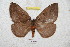  ( - BC-RBP 5951)  @13 [ ] Copyright (2010) Ron Brechlin Research Collection of Ron Brechlin