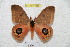  ( - BC-RBP 4818)  @14 [ ] Copyright (2010) Ron Brechlin Research Collection of Ron Brechlin