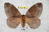  ( - BC-RBP 4837)  @13 [ ] Copyright (2010) Ron Brechlin Research Collection of Ron Brechlin