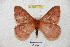  ( - BC-RBP 4870)  @13 [ ] Copyright (2010) Ron Brechlin Research Collection of Ron Brechlin