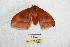  ( - BC-RBP 6028)  @12 [ ] Copyright (2010) Ron Brechlin Research Collection of Ron Brechlin