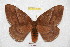  ( - BC-RBP 6136)  @14 [ ] Copyright (2010) Ron Brechlin Research Collection of Ron Brechlin