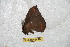  ( - BC-RBP 6420)  @12 [ ] Copyright (2012) Ron Brechlin Research Collection of Ron Brechlin