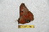  ( - BC-RBP 6587)  @13 [ ] Copyright (2012) Ron Brechlin Research Collection of Ron Brechlin