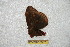  ( - BC-RBP 6667)  @11 [ ] Copyright (2012) Ron Brechlin Research Collection of Ron Brechlin