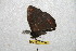  ( - BC-RBP 6728)  @12 [ ] Copyright (2012) Ron Brechlin Research Collection of Ron Brechlin