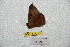  ( - BC-RBP 7246)  @13 [ ] Copyright (2013) Ron Brechlin Research Collection of Ron Brechlin