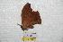  ( - BC-RBP 7301)  @12 [ ] Copyright (2013) Ron Brechlin Research Collection of Ron Brechlin