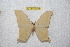  ( - BC-RBP 12230)  @11 [ ] copyright (2021) Ron Brechlin Research Collection of Ron Brechlin