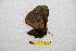  ( - BC-RBP 12239)  @11 [ ] copyright (2021) Ron Brechlin Research Collection of Ron Brechlin