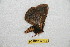  ( - BC-RBP 12241)  @11 [ ] copyright (2021) Ron Brechlin Research Collection of Ron Brechlin