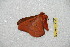  ( - BC-RBP 12288)  @11 [ ] copyright (2021) Ron Brechlin Research Collection of Ron Brechlin