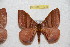  ( - BC-RBP 12315)  @11 [ ] copyright (2021) Ron Brechlin Research Collection of Ron Brechlin