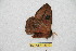  ( - BC-RBP 12616)  @11 [ ] copyright (2022) Ron Brechlin Research Collection of Ron Brechlin