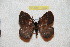  ( - BC-RBP 12690)  @11 [ ] copyright (2023) Ron Brechlin Research Collection of Ron Brechlin