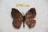  ( - BC-RBP 12795)  @11 [ ] copyright (2023) Ron Brechlin Research Collection of Ron Brechlin