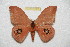  ( - BC-RBP 8063)  @13 [ ] Copyright (2013) Ron Brechlin Research Collection of Ron Brechlin