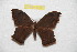  ( - BC-RBP 8193)  @11 [ ] Copyright (2013) Ron Brechlin Research Collection of Ron Brechlin