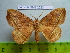  ( - barcode SNB 2523)  @11 [ ] Copyright (2010) Stefan Naumann Research Collection of Stefan Naumann