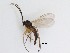  (Sciaridae_genus_JH01 sp. 1_TM - LW-XG858)  @14 [ ] CreativeCommons  Attribution
Non-Commercial Share-Alike (2019) Unspecified Zhejiang A&F University