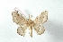  (Druentica sp - BC-Her2871)  @13 [ ] Copyright (2010) Unspecified Research Collection of Daniel Herbin