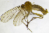  ( - BB3E)  @11 [ ] CreativeCommons  Attribution (by) (2019) Emma Wahlberg Swedish Museum of Natural History