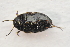  ( - IBSAS-TA3812)  @11 [ ] CreativeCommons  Attribution Non-Commercial Share-Alike (2018) Unspecified Slovak Academy of Sciences, Plant Science and Biodiversity Centre