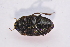  ( - IBSAS-TA3996)  @11 [ ] CreativeCommons  Attribution Non-Commercial Share-Alike (2018) Unspecified Slovak Academy of Sciences, Plant Science and Biodiversity Centre