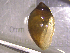  ( - 22-SNAIL-0162)  @11 [ ] CreativeCommons - Attribution Share-Alike (2023) Unspecified Drexel University, Academy of Natural Sciences