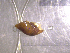  ( - 22-SNAIL-0467)  @11 [ ] CreativeCommons - Attribution Share-Alike (2023) Unspecified Drexel University, Academy of Natural Sciences