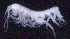  ( - SB_1-8S_Oedi22_2015_2)  @11 [ ] CreativeCommons  Attribution Non-Commercial Share-Alike (2021) Anna Jazdzewska University of Lodz, Dept of Invertebrate Zoology and Hydrobiology