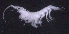  ( - SB_7-4S_Oedi23_2015_1)  @11 [ ] CreativeCommons  Attribution Non-Commercial Share-Alike (2021) Anna Jazdzewska University of Lodz, Dept of Invertebrate Zoology and Hydrobiology