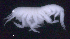  ( - SB_8-4S_Oedi28_2015_5)  @11 [ ] CreativeCommons  Attribution Non-Commercial Share-Alike (2021) Anna Jazdzewska University of Lodz, Dept of Invertebrate Zoology and Hydrobiology