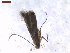  ( - CLV7564)  @11 [ ] CreativeCommons  Attribution Non-Commercial Share-Alike (2019) Carlos Lopez Vaamonde Institut National de la Recherche Agronomique, Zoologie Forestiere