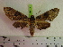  ( - BC-LTM-146)  @13 [ ] Copyright (2010) Unspecified Research Collection of James P. Tuttle