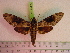  ( - BC-LTM-159)  @13 [ ] Copyright (2010) Unspecified Research Collection of James P. Tuttle