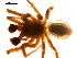  ( - BGSPI-01-C05)  @12 [ ] CreativeCommons - Attribution (2009) Gergin Blagoev, Centre for Biodiversity Genomics Centre for Biodiversity Genomics