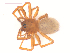  (Oreonetides filicatus - 10-SKBC-0115)  @13 [ ] CreativeCommons - Attribution (2010) Unspecified Centre for Biodiversity Genomics
